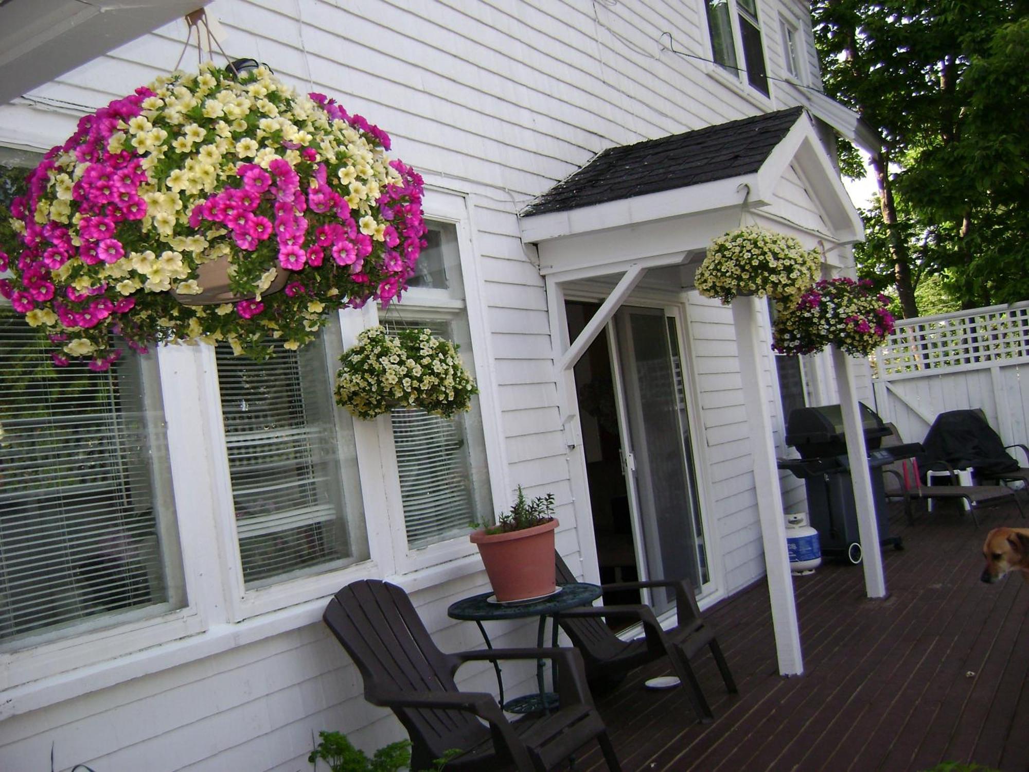 Lakelawn B&B And Motel Yarmouth Eksteriør bilde